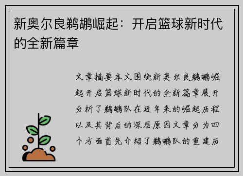 新奥尔良鹈鹕崛起：开启篮球新时代的全新篇章