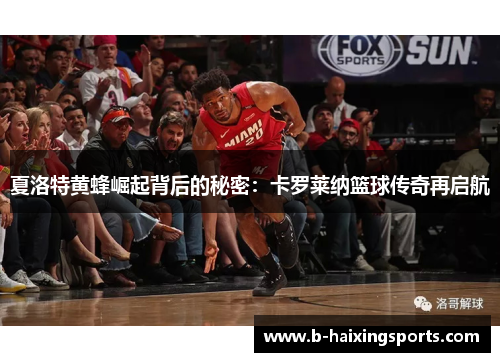 夏洛特黄蜂崛起背后的秘密：卡罗莱纳篮球传奇再启航